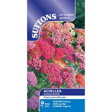 Fast shipping · explore amazon devices · read ratings & reviews Achillea Seeds Summer Berries Suttons
