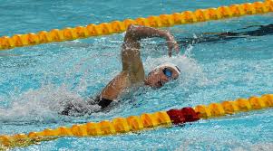 Hungary's katinka hosszu set a competition record of 2:02.20 when she won gold in the 200m buttefly and in doing so became the first hungarian woman to win a medal in championship history. Triathlon Professional Cyclist Man Cycling Road Racing Bike In Time Trial Helmet And Compression Tri Suit In Hawaii Stock Image Image Of Cycle Hawaii 194095095