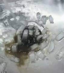 In fact, you can clean your garbage disposal with ice alone or add just a couple more inexpensive, common ingredients to deodorize, degrease and there are several different ways you can clean your garbage disposal with ice in mere minutes — and follow up by giving the rubber splash guard. Cleaning Hack Viral Tiktok Video Shows How To Clean Garbage Disposal Using Ice Cubes And Hot Water Science Times