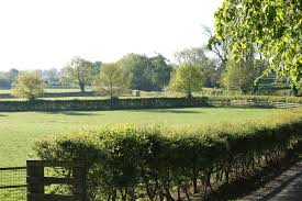 Oak tree farm is situated on a 15 acre smallholding near the village of hilderstone and is part of the harrowby estate of sandon. Oak Tree Farm Bloodstock County Meath Ireland