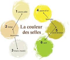 Comment Interpreter La Couleur Des Selles Voir plus d'idées sur le thème chaussures blanches, chaussure, chaussures femme. comment interpreter la couleur des selles