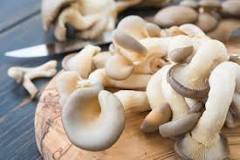 The 5 Easiest Mushrooms to Grow | GroCycle