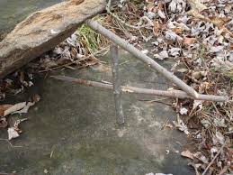 Image result for deadfall trap