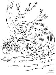 Smoky mountains national park coloring page free coloring pages. Grand Canyon Coloring Pages Learny Kids