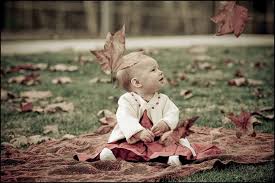 One of many great free stock photos from pexels. 10 Tips Guaranteed To Improve Your Photos