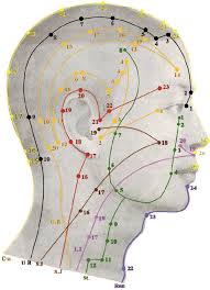 acupuncture points of the head all the meridian points are