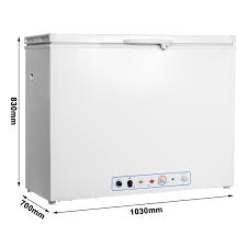 Smad Propane Chest Freezer 220V/12V/LPG Large Freezer with ...