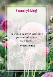 Garden quotes are perfect for people who enjoy nature and gardening. 48 Inspirational Flower Quotes Cute Flower Sayings About Life And Love