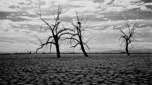 What Happened Here At The Salton Sea Our World