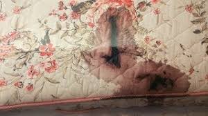 Sep 27, 2019 · jeffrey dahmer was a serial killer cannibal responsible for the deaths of at least 17 people. Corey Jury Sees Graphic Crime Scene Photos Youtube