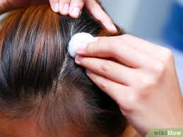 Free delivery and returns on ebay plus items for plus members. 3 Ways To Treat An Oily Scalp And Dry Roots Wikihow