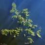 cape horn from science.nasa.gov