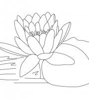 Color online with this game to color mandalas coloring pages and you will be able to share and to create your own gallery online. Top Lotus Coloring Pages For Your Little Ones Coloring Pages