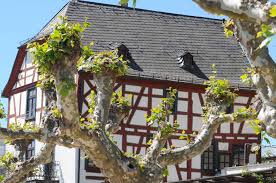Das gelbe haus ist einfach ein begriff. Home Weinhauskrone