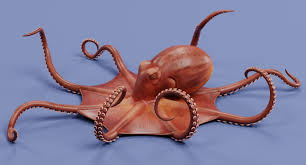 3d Model Giant Pacific Octopus Rigged Giant Pacific Octopus Octopus 3d Model