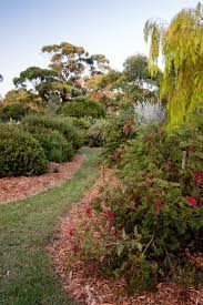 An Inspiring Native Garden Rings Bells For Linda Ross And To The Sound Of Birdsong She Changes Her Tun Australian Native Garden Native Garden Australian Garden