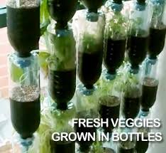 Check spelling or type a new query. Recycled Plastic Bottles Awesome Vertical Vegetable Garden Fine Craft Guild