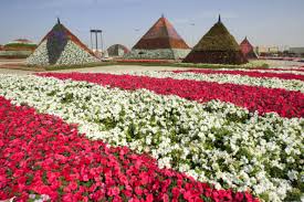 Dubai miracle garden is home to more than 50 million blooming flowers, all showcased in a variety of immense sculptures and designs. The World S Most Beautiful Garden In Dubai Gulfnews Gulf News