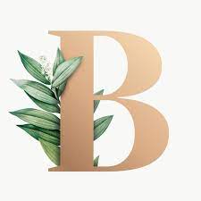 Pin By Sonia Carneiro On Brown Watercolor Flowers Paintings Alphabet Design Lettering