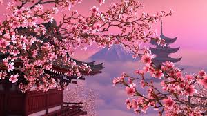 190 sakura hd wallpapers and background images. Anime Cherry Blossom 4k Wallpapers Top Free Anime Cherry Blossom 4k Backgrounds Wallpaperaccess