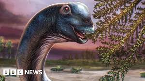 News source: BBC