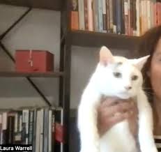 Cats, Playlists, Advice for Writers, #Team_Koko, and 'Sweet, Soft, Plenty  Rhythm': Get to Know Laura Warrell”