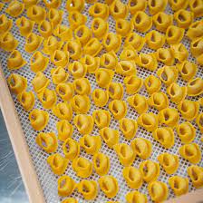 The Mythical Tortellini of Castelfranco Emilia - La Cucina Italiana