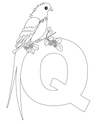 Animal Alphabet Letter Q For Queen Whydah Disegni Divertenti Schemi A Punto Immagini