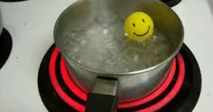 Chemistry Project An Easy To Understand Home Made Boyle S Law And Charles S Law D Chemistry Projects Apologia Chemistry Chemistry Teacher