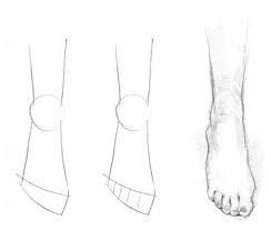 A structural adaptation is a physical change in the animal. How To Sketch And Draw Feet How To Artists Illustrators Original Art For Sale Direct From The Artist