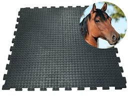 Bei der auswahl der richtigen matten für die pferdebox, den offenstall, das paddock oder die führanlage helfen ihnen der produktfinder und die produktberatung. Stallmatte Puzzlesystem 100x100 Cm 16mm Gummi Matte Fur Pferdestall Und Pferdebox