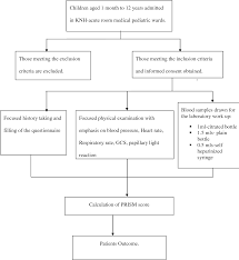 Figure 1 From Evaluating The Performance Of Pediatric Risk