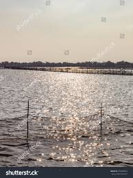 Fish Farm Malabon City Stock Photo 769582024 Shutterstock