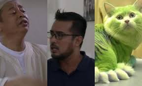 Hal itu sesuai dengan pengumuman dari agensi yang menaunginya fantagio music. Tak Masalahnya Ada Ke Kucing Warna Hijau Peminat Masih Tak Boleh Move On Dengan Lawak Keluarga Iskandar The Movie Soya Lemon