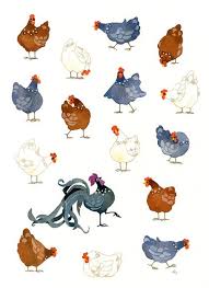 Tir Ri Chicken Art Bird Art Chicken Illustration