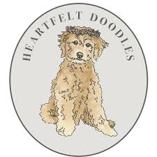 The 5 steps of early neurological stimulation for puppies. Puppy Training Heartfelt Doodles