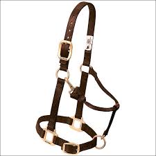 Las mejores ofertas en Caballo halter rosa Weaver Leather headcollars