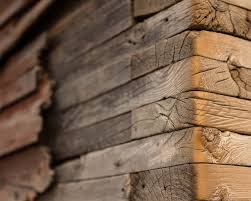 We did not find results for: Fondos De Pantalla Madera Fondo Borroso 1920x1200 Hd Imagen