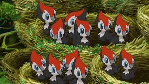 Pikipek (anime) | Pokémon Wiki | Fandom