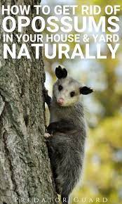 Pin On Suggest Great Articles Here