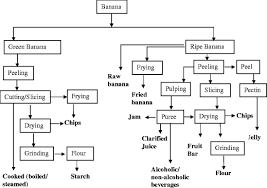 Post Harvest Processing Of Banana Opportunities And