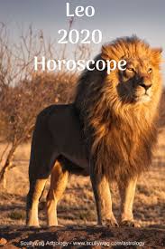 Leo 2020 Horoscope Scullywag Astrology Astrology Leo Astrology Horoscope