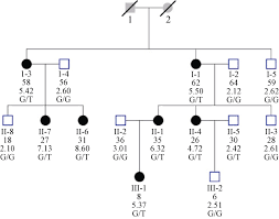 Pedigree Chart Of Proband 3 Squares Indicate Male Family