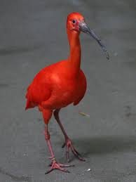 Maart (1) februari (4) januari (3) 2010 (8) november (3) oktober (2) Kwalitatief De Beste 03 18 19 Suriname Mirror