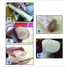 We did not find results for: Gambar 10 Dan 11 Reka Corak Yang Terhasil Download Scientific Diagram