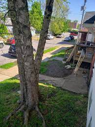 Chesterfield tourism chesterfield hotels chesterfield vacation rentals chesterfield packages flights to chesterfield chesterfield restaurants chesterfield attractions chesterfield shopping. All Outdoors Inc Reviews Chesterfield Mo Angi