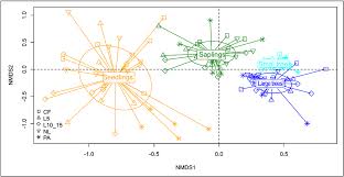 Image result for Strombosiopsis tetrandra