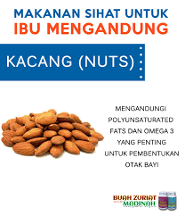 Semua makanan yang mengandung zat ini sangat penting untuk kesehatan ibu hamil dan calon bayi yang akan dilahirkan. Download Makanan Yang Sihat Untuk Ibu Hamil Pictures Ayoesihat