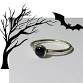 Wide Ring Workshop event in Victoria, BC