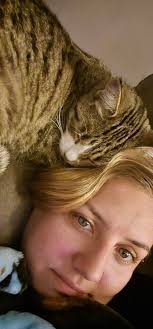 Lost cat near Rockwell road, Amarillo area